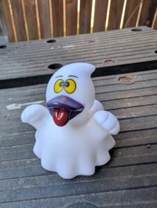 Boo Quacker Duckkins